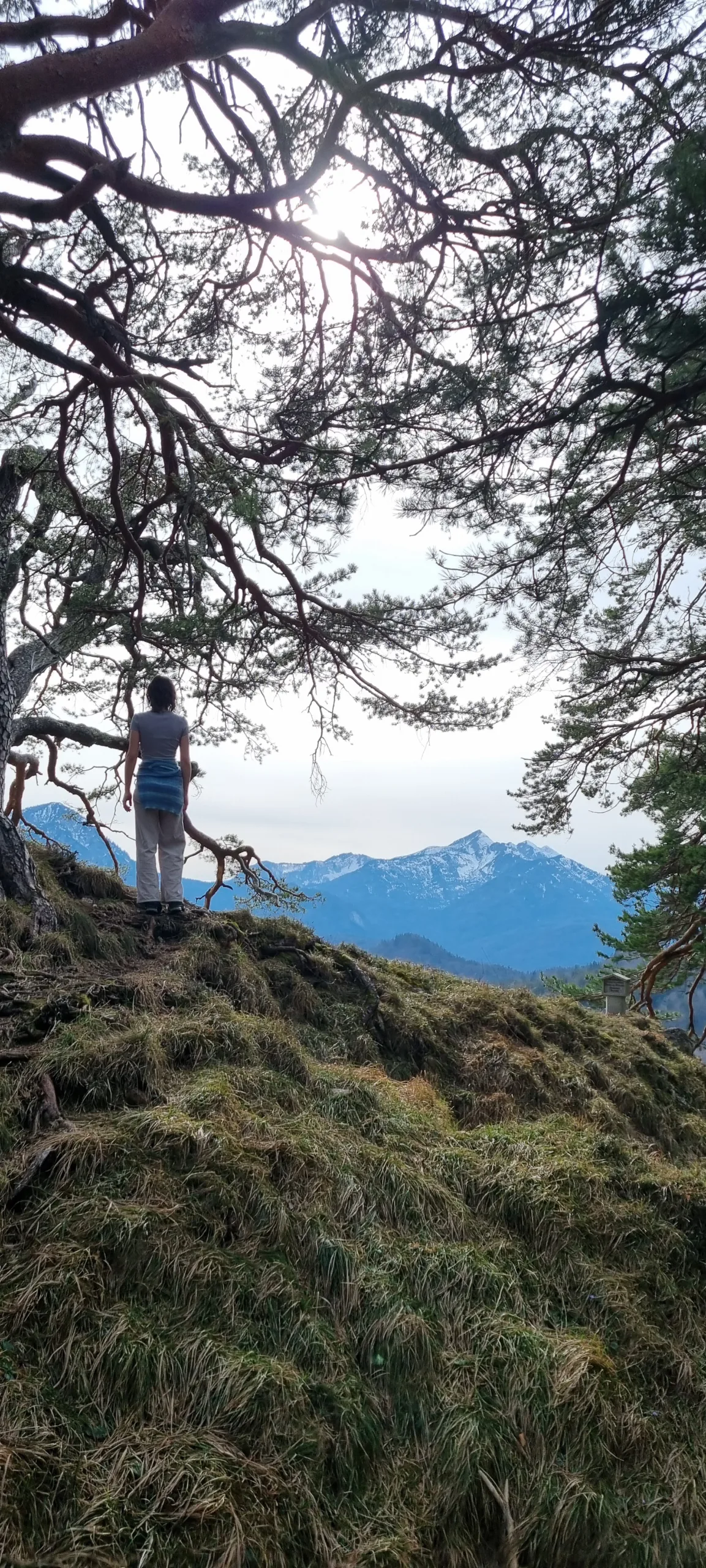 Ausbildung zum Naturcoach - Bayern