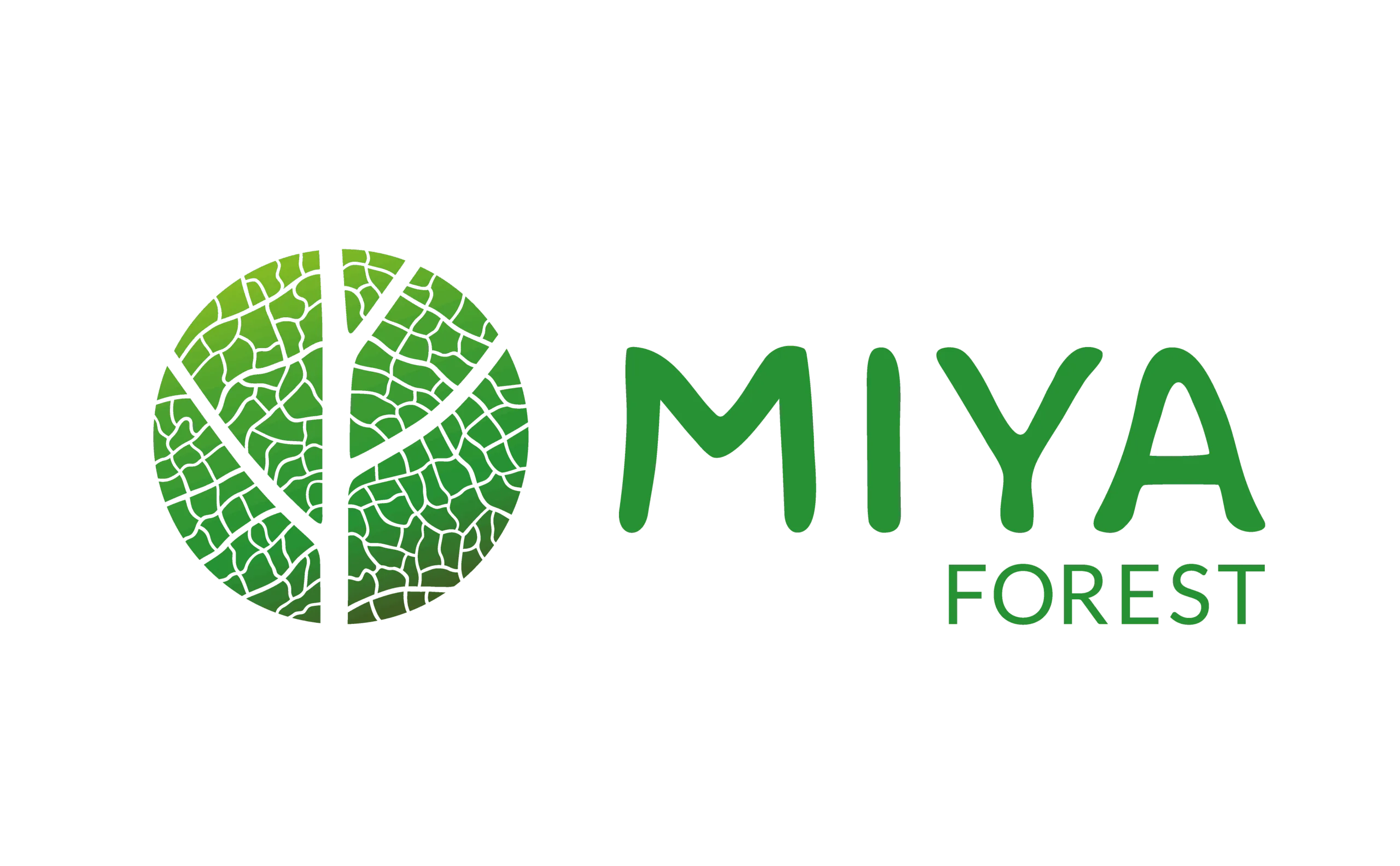 MIYA Tiny Forrest