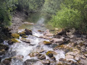 Reconnect Natur-Retreat - Bayern