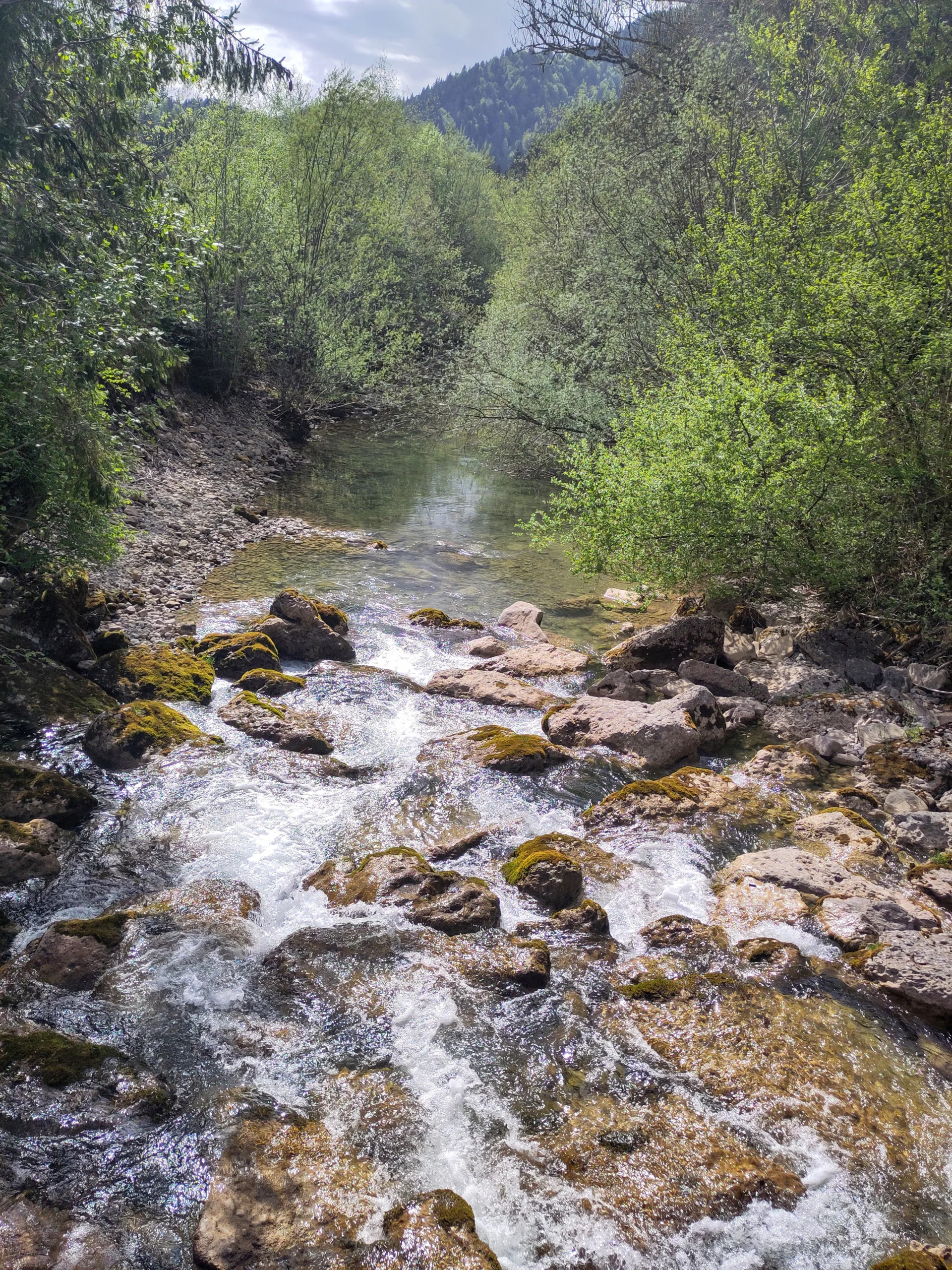 Reconnect Natur-Retreat - Bayern